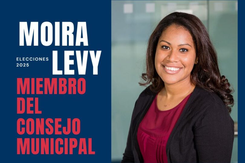 imprimir cartel electoral