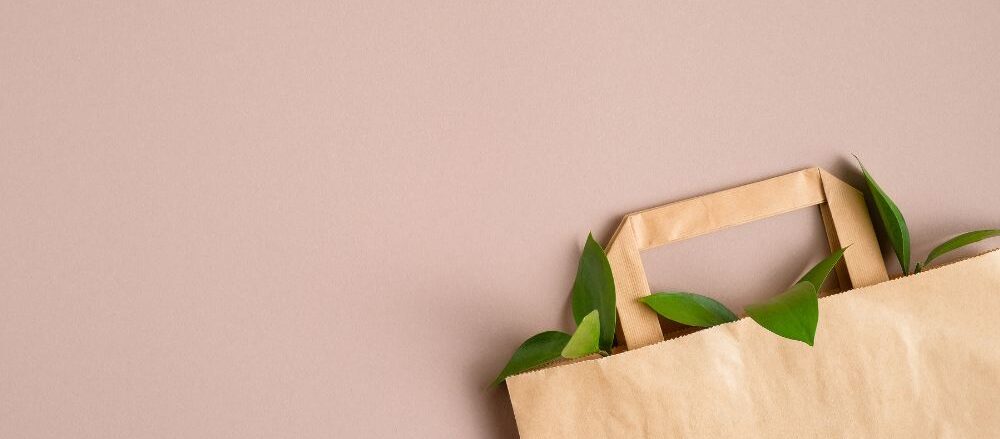 Diseño de bolsas de papel ecológicas