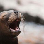 redimensionar-imagen